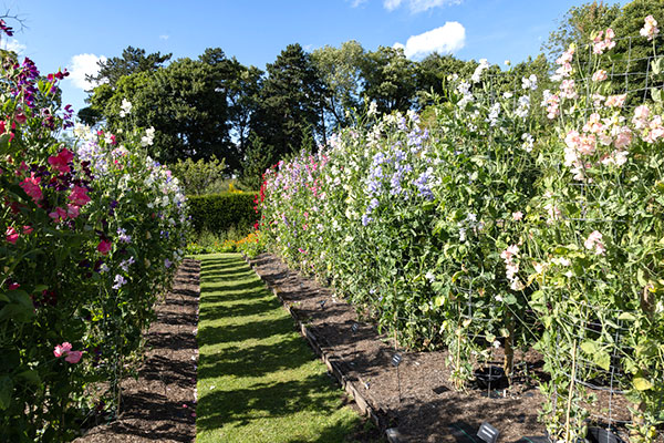 Easton-Walled-Gardens Easton Walled Gardens